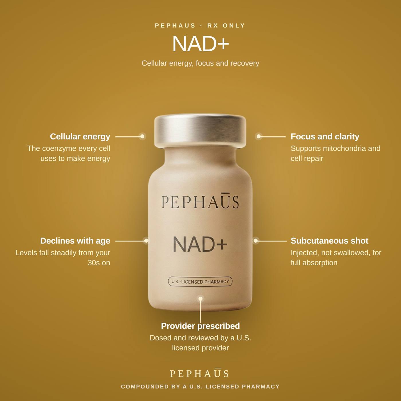 Breakdown of what NAD+ does